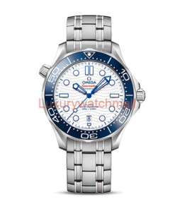 Replica Omega Seamaster 300 Final Hours!